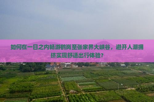 如何在一日之内畅游鹤岗至张家界大峡谷，避开人潮拥挤实现舒适出行体验？