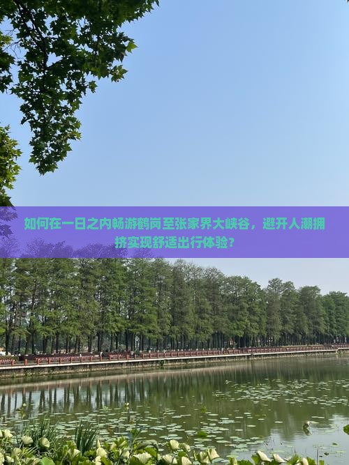 如何在一日之内畅游鹤岗至张家界大峡谷，避开人潮拥挤实现舒适出行体验？