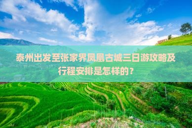 泰州出发至张家界凤凰古城三日游攻略及行程安排是怎样的？
