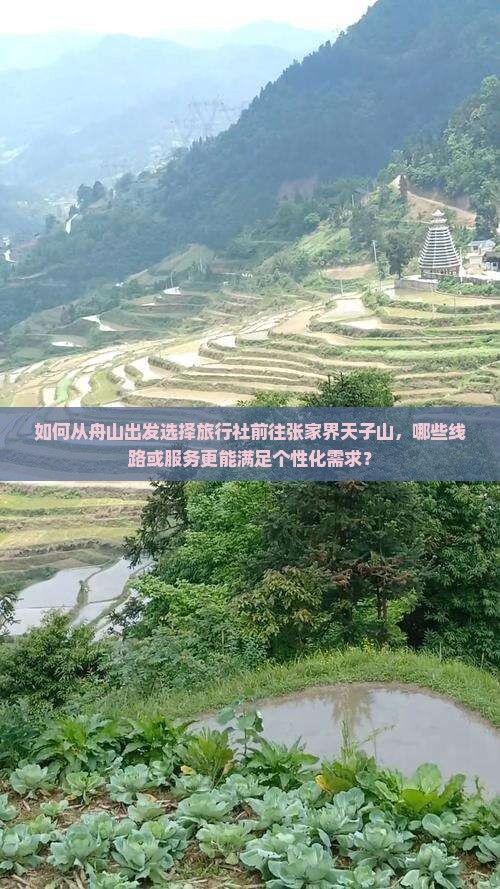 如何从舟山出发选择旅行社前往张家界天子山，哪些线路或服务更能满足个性化需求？