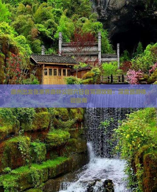 德州出发张家界森林公园六日自驾游攻略：深度旅游体验指南