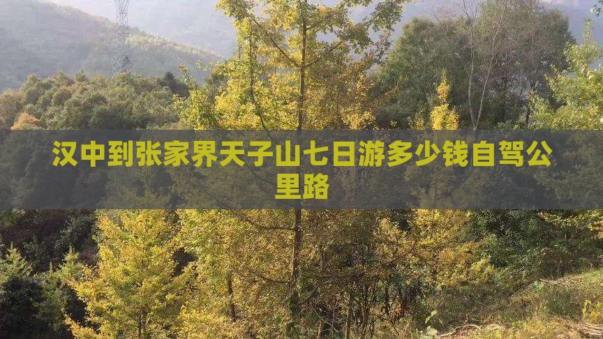 汉中到张家界天子山七日游多少钱自驾公里路