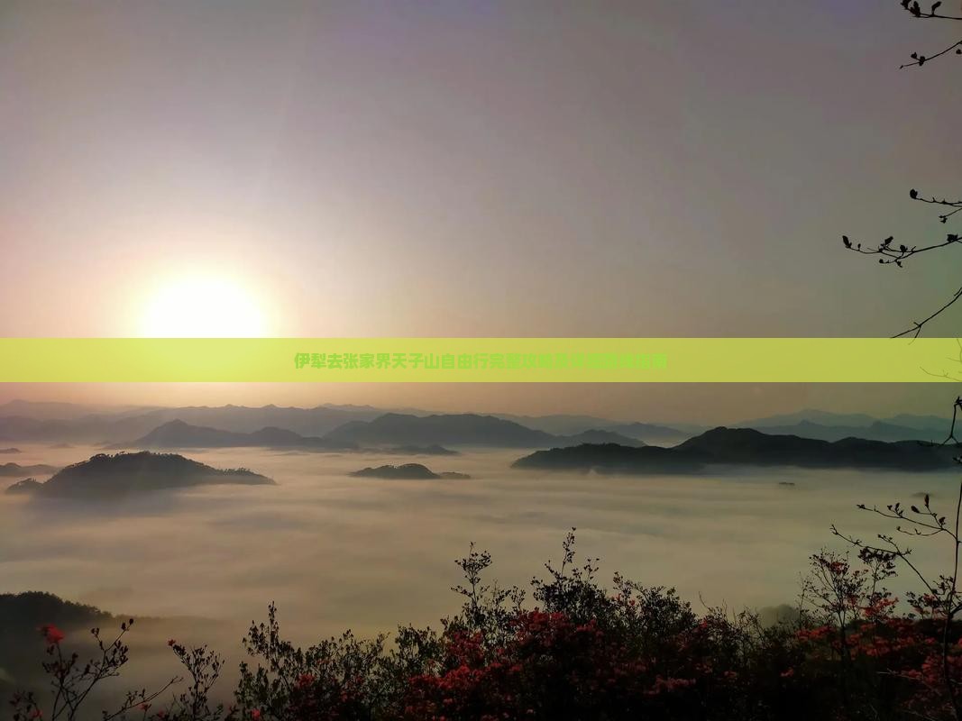 伊犁去张家界天子山自由行完整攻略及详细路线指南