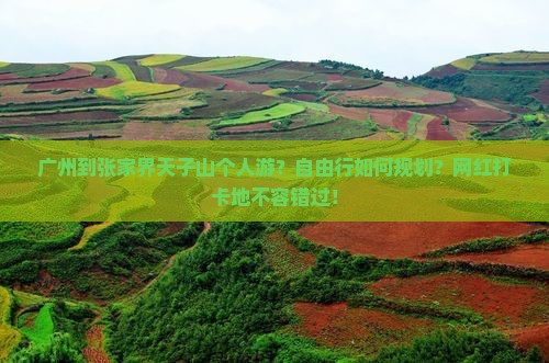 广州到张家界天子山个人游？自由行如何规划？网红打卡地不容错过！