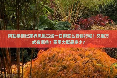 阿勒泰到张家界凤凰古城一日游怎么安排行程？交通方式有哪些？费用大概是多少？