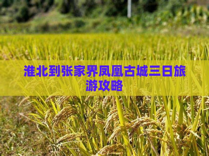 淮北到张家界凤凰古城三日旅游攻略