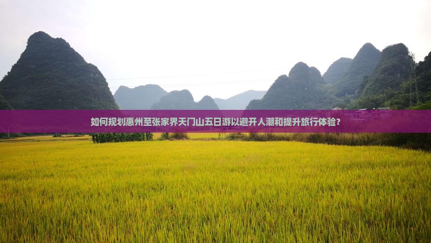 如何规划惠州至张家界天门山五日游以避开人潮和提升旅行体验？
