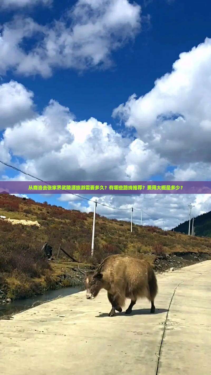 从商洛去张家界武陵源旅游需要多久？有哪些路线推荐？费用大概是多少？