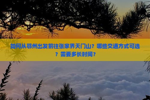 如何从鄂州出发前往张家界天门山？哪些交通方式可选？需要多长时间？