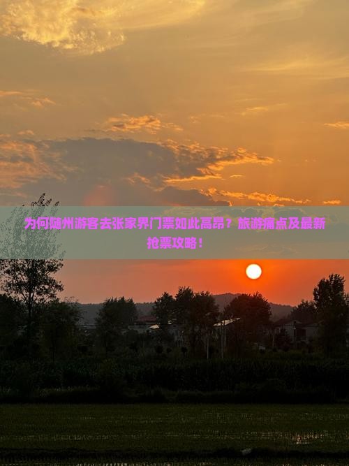 为何随州游客去张家界门票如此高昂？旅游痛点及最新抢票攻略！