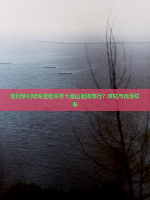 如何策划蚌埠至张家界七星山团体旅行？攻略与优惠详解