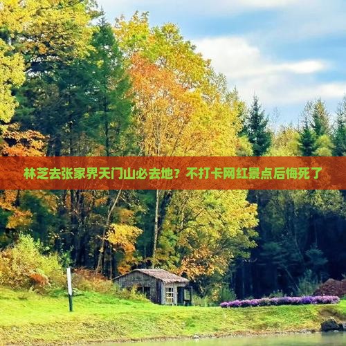 林芝去张家界天门山必去地？不打卡网红景点后悔死了