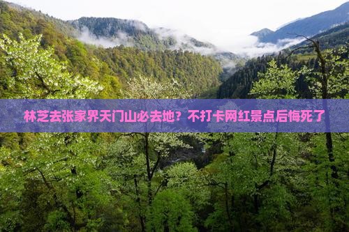 林芝去张家界天门山必去地？不打卡网红景点后悔死了
