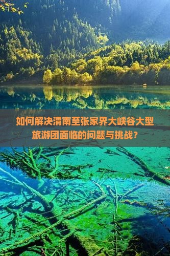 如何解决渭南至张家界大峡谷大型旅游团面临的问题与挑战？