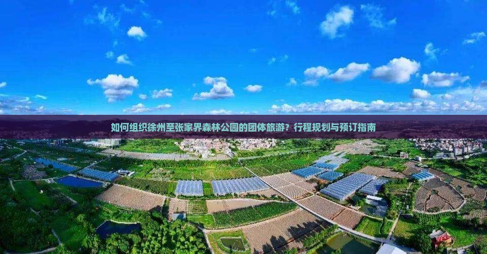 如何组织徐州至张家界森林公园的团体旅游？行程规划与预订指南