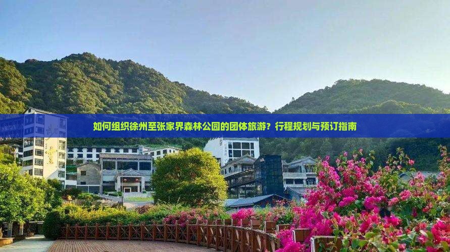 如何组织徐州至张家界森林公园的团体旅游？行程规划与预订指南