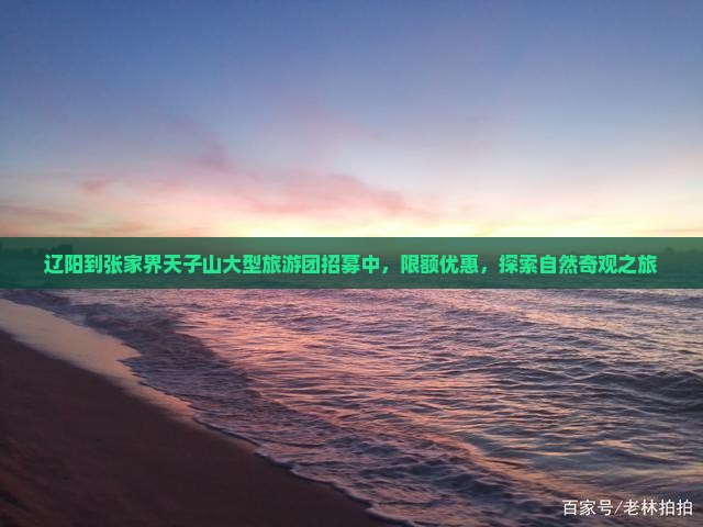 辽阳到张家界天子山大型旅游团招募中，限额优惠，探索自然奇观之旅