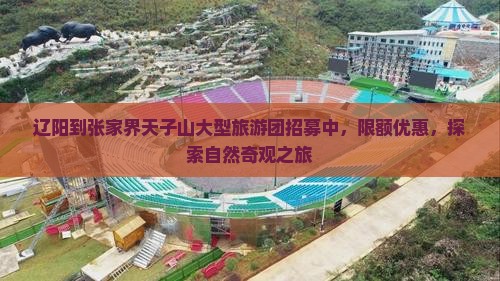 辽阳到张家界天子山大型旅游团招募中，限额优惠，探索自然奇观之旅