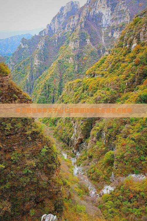 中卫到张家界天子山七日旅游攻略及必游景点推荐