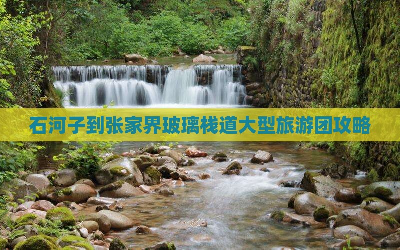 石河子到张家界玻璃栈道大型旅游团攻略