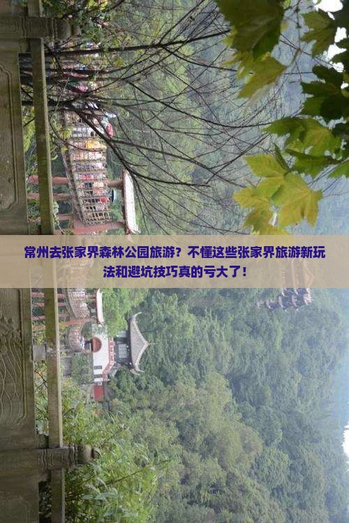 常州去张家界森林公园旅游？不懂这些张家界旅游新玩法和避坑技巧真的亏大了！