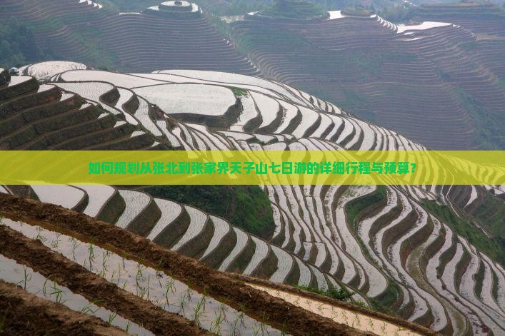 如何规划从张北到张家界天子山七日游的详细行程与预算？
