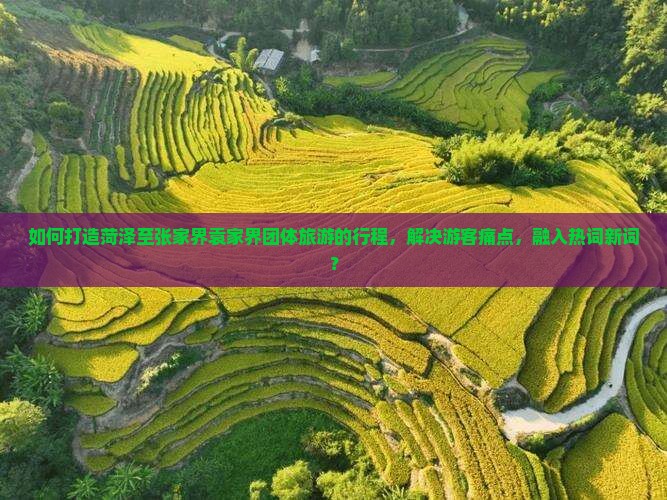 如何打造菏泽至张家界袁家界团体旅游的行程，解决游客痛点，融入热词新词？