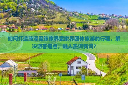 如何打造菏泽至张家界袁家界团体旅游的行程，解决游客痛点，融入热词新词？