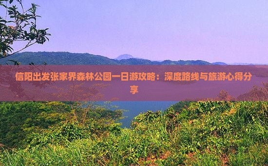信阳出发张家界森林公园一日游攻略：深度路线与旅游心得分享