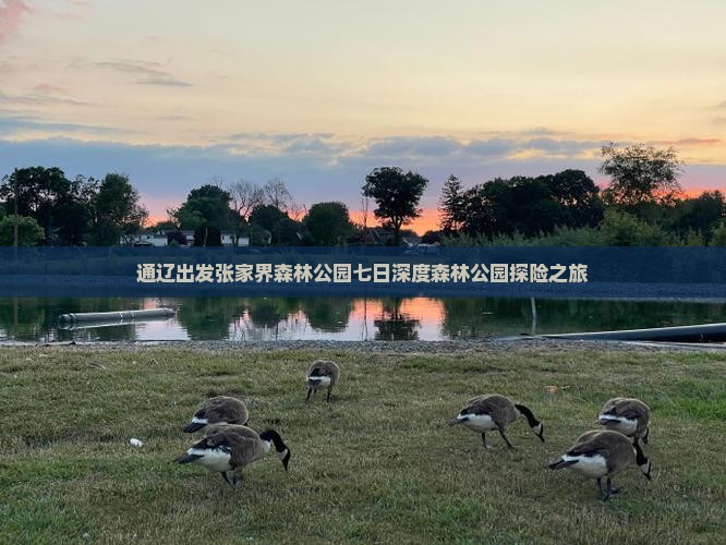 通辽出发张家界森林公园七日深度森林公园探险之旅