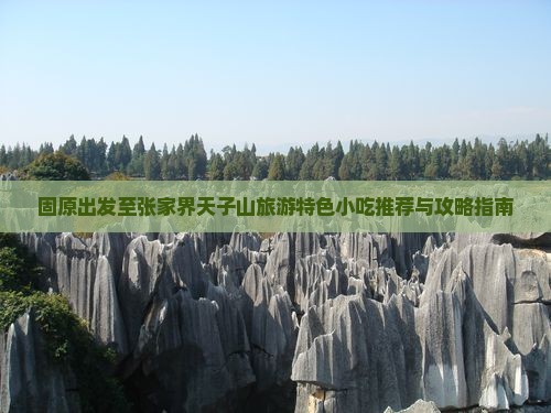 固原出发至张家界天子山旅游特色小吃推荐与攻略指南
