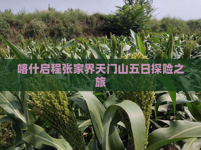 喀什启程张家界天门山五日探险之旅