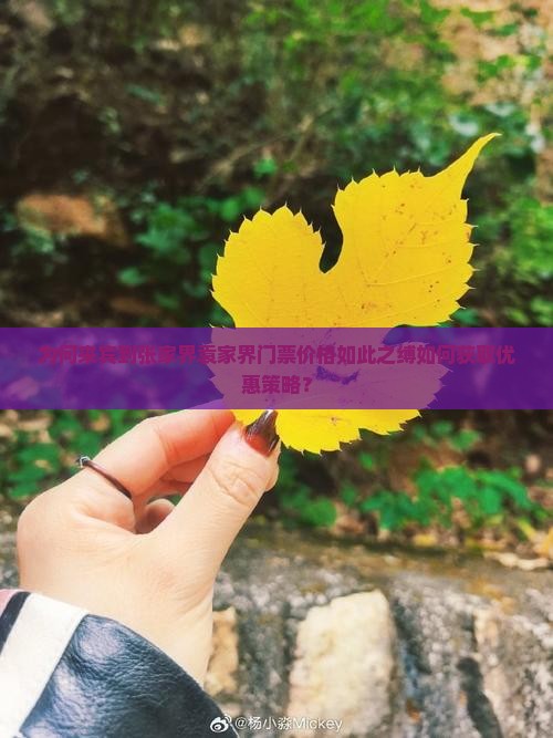 为何来宾到张家界袁家界门票价格如此之缚如何获取优惠策略？