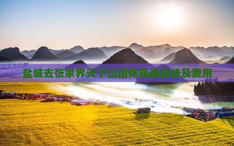 盐城去张家界天子山团体旅游路线及费用