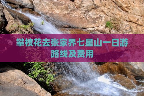 攀枝花去张家界七星山一日游路线及费用
