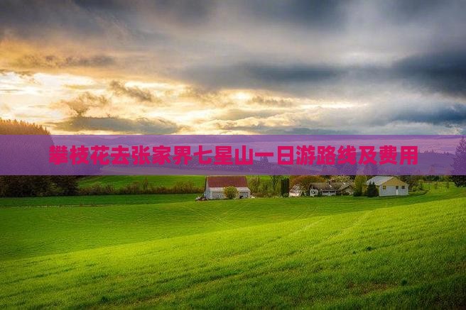 攀枝花去张家界七星山一日游路线及费用