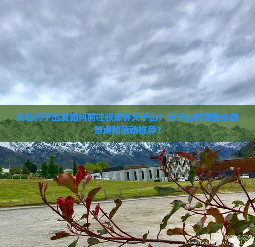 从石河子出发如何前往张家界天子山？天子山有哪些必游景点和活动推荐？