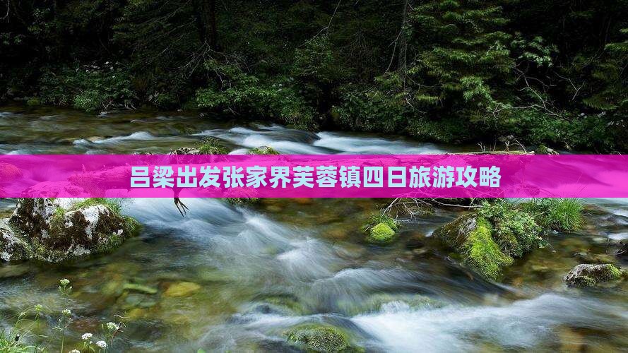 吕梁出发张家界芙蓉镇四日旅游攻略