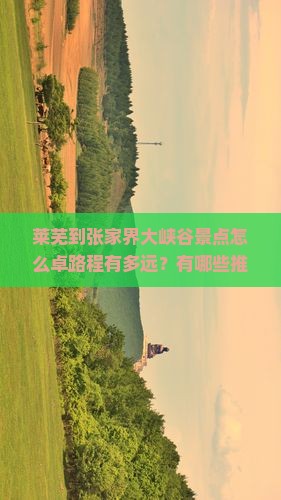 莱芜到张家界大峡谷景点怎么卓路程有多远？有哪些推荐玩法？