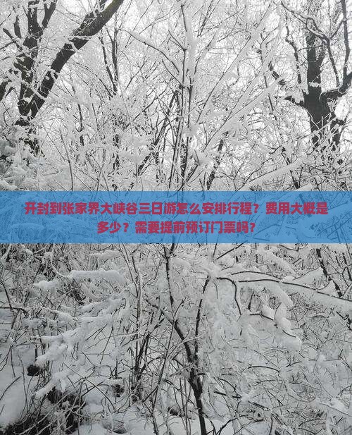 开封到张家界大峡谷三日游怎么安排行程？费用大概是多少？需要提前预订门票吗？