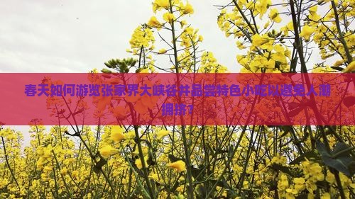 春天如何游览张家界大峡谷并品尝特色小吃以避免人潮拥挤？
