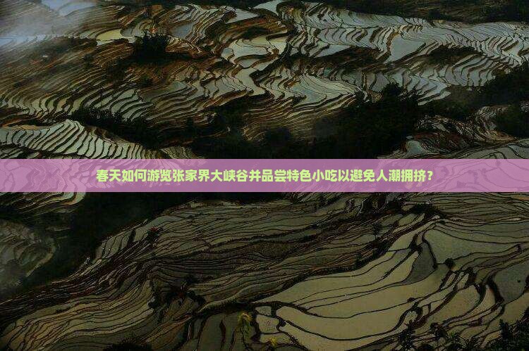 春天如何游览张家界大峡谷并品尝特色小吃以避免人潮拥挤？