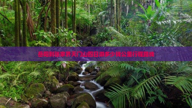 岳阳到张家界天门山四日游多少钱公里行程路线