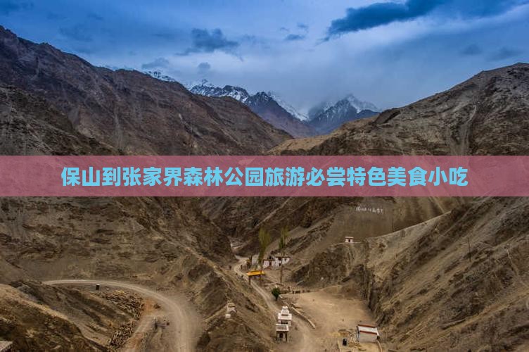 保山到张家界森林公园旅游必尝特色美食小吃