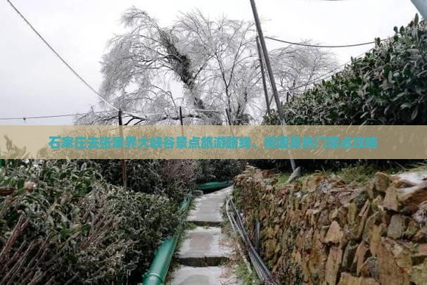 石家庄去张家界大峡谷景点旅游路线、报团及热门景点攻略