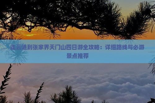 连云港到张家界天门山四日游全攻略：详细路线与必游景点推荐