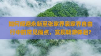 如何规避永新至张家界袁家界自由行中的常见痛点，实现畅游体验？