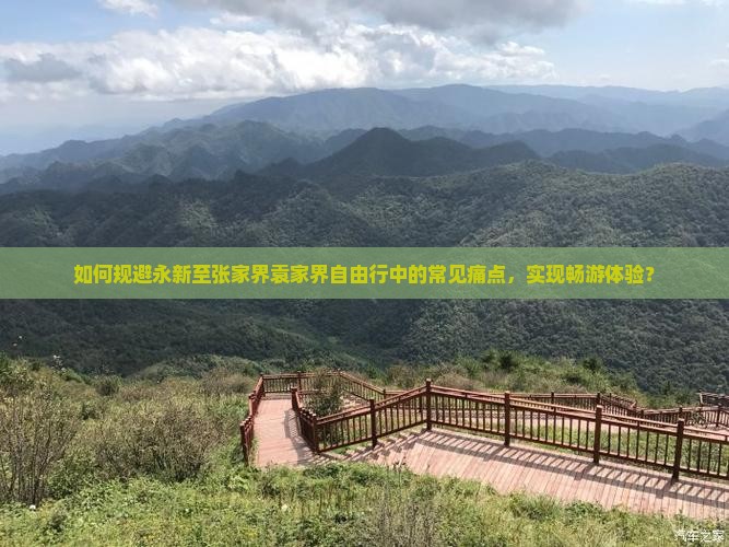 如何规避永新至张家界袁家界自由行中的常见痛点，实现畅游体验？