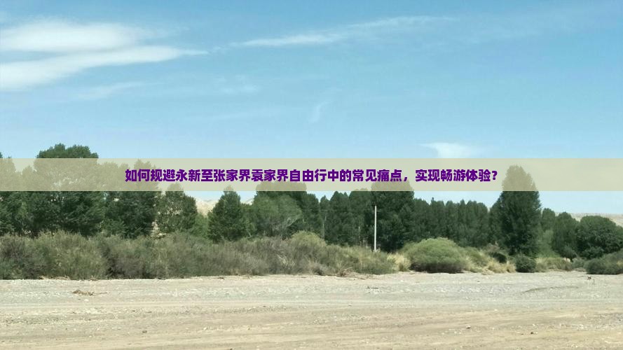 如何规避永新至张家界袁家界自由行中的常见痛点，实现畅游体验？