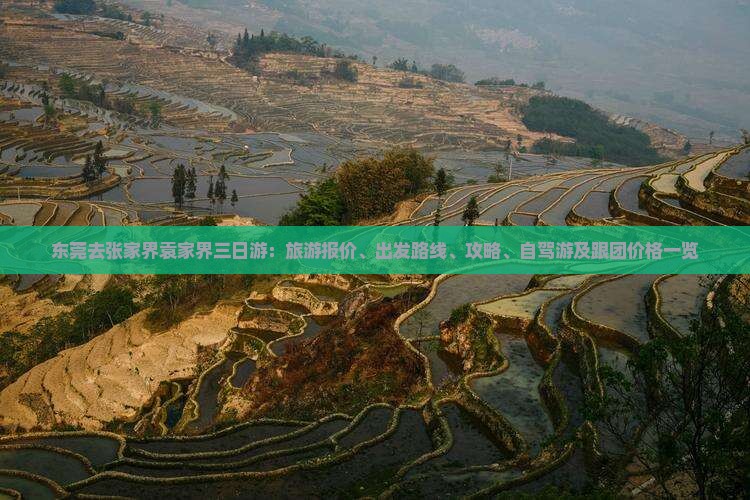 东莞去张家界袁家界三日游：旅游报价、出发路线、攻略、自驾游及跟团价格一览